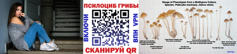 Купить где  Алатырь  Галлюциногенные грибы ЛСД 